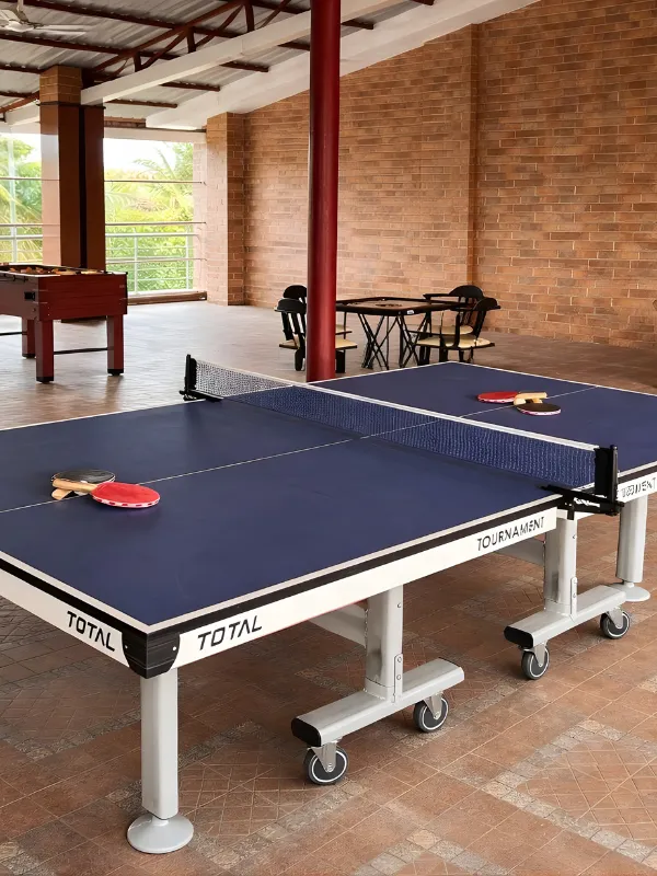 Table Tennis